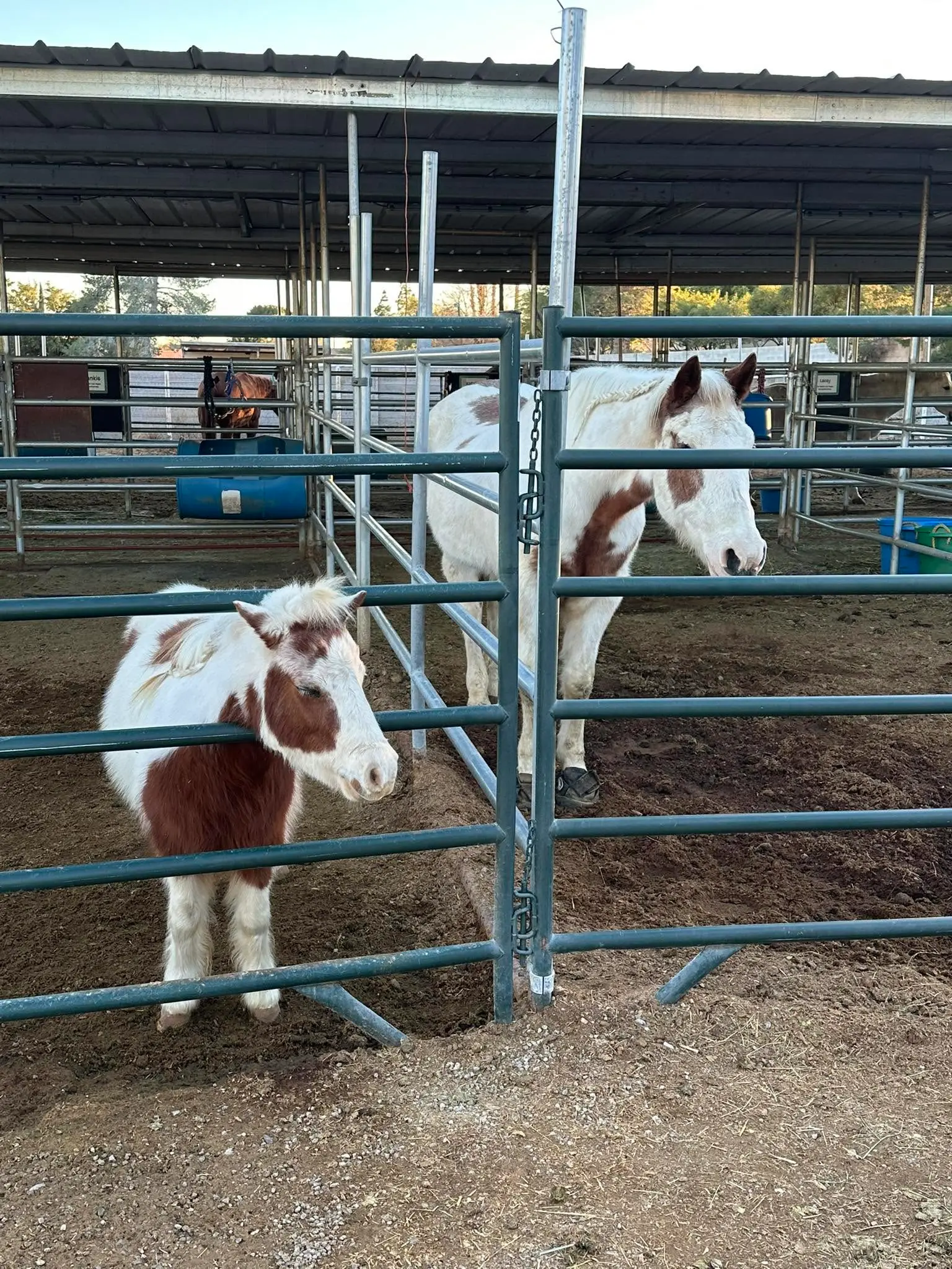 Rosie and Rosie